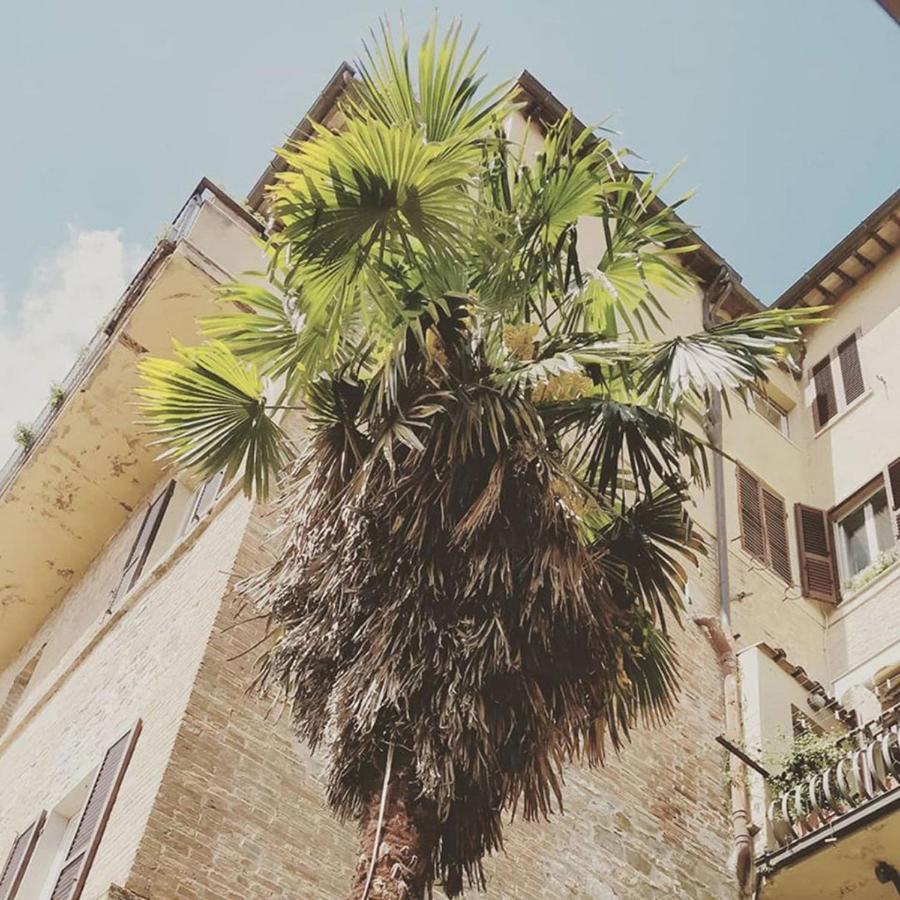 Break And Bed Bed & Breakfast Perugia Exterior photo